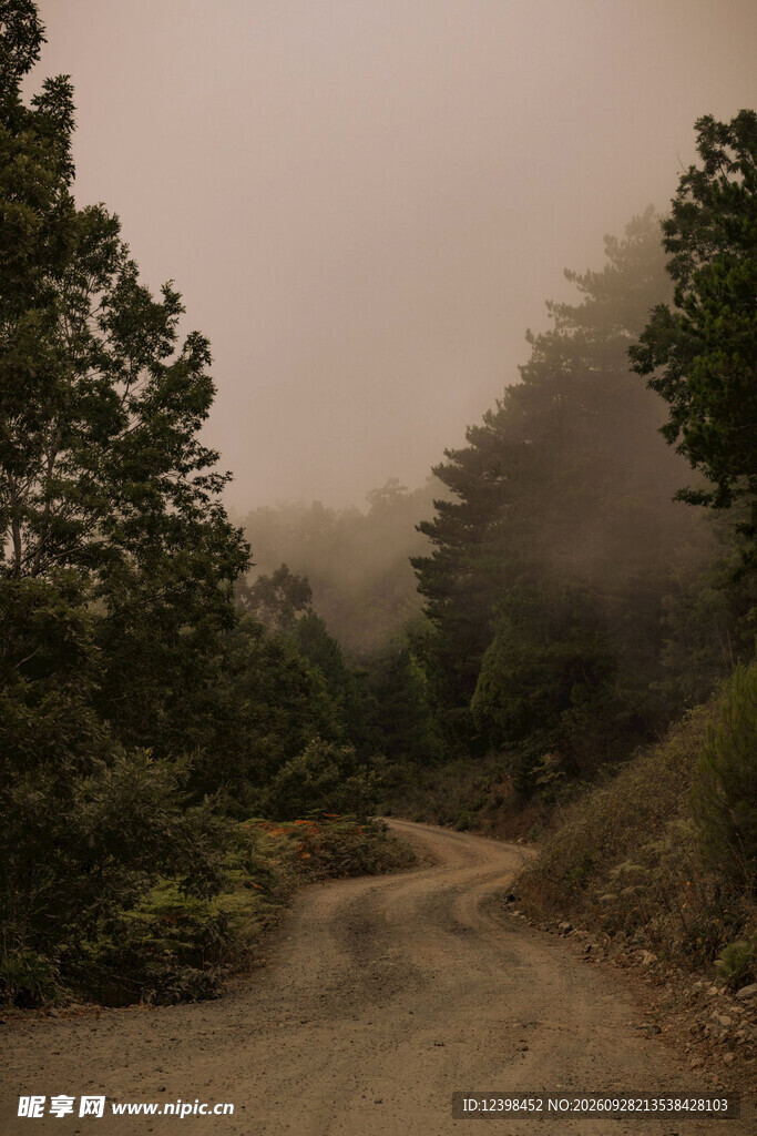 道路