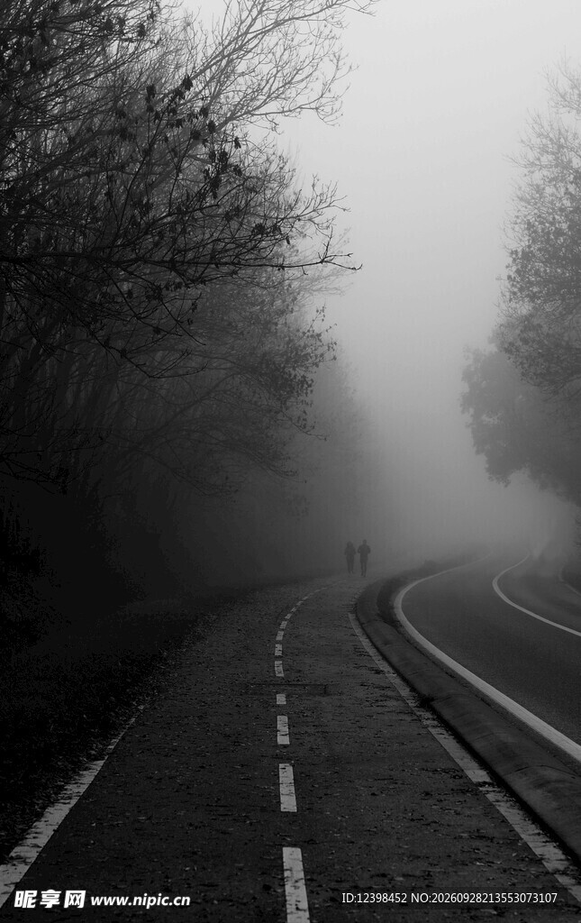 道路