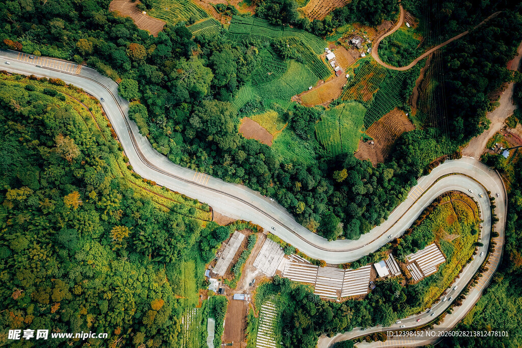 道路