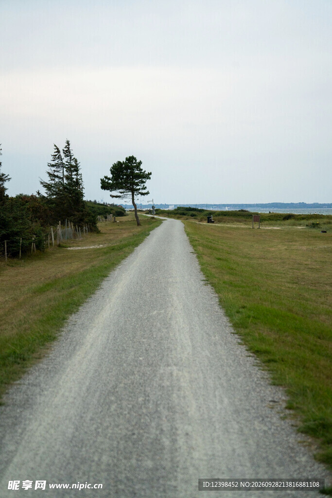 道路