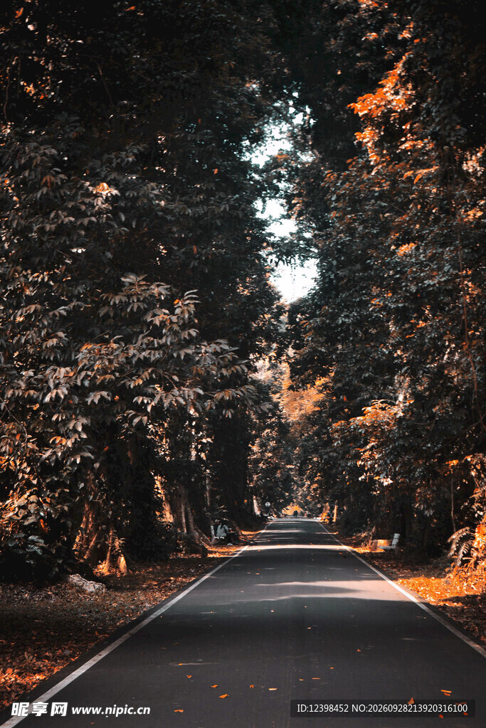 公路景观