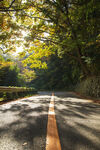 公路景观