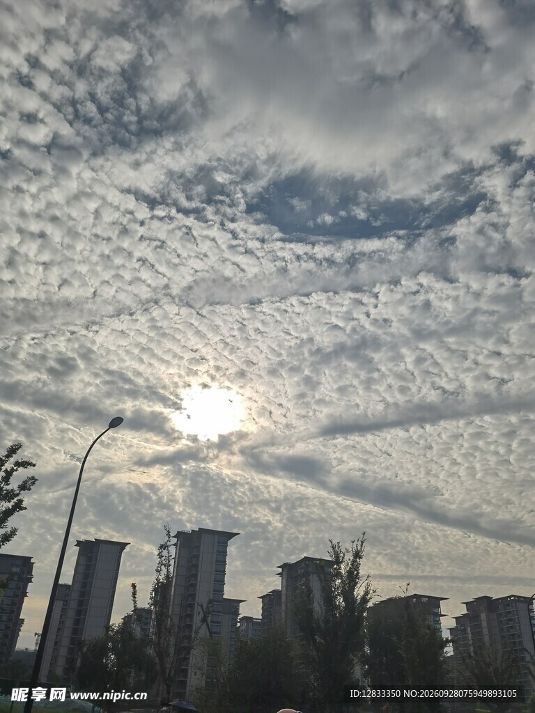 城市上空鱼鳞云景观