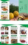 茶叶三折页