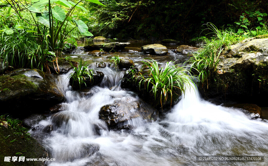 林间山涧溪流