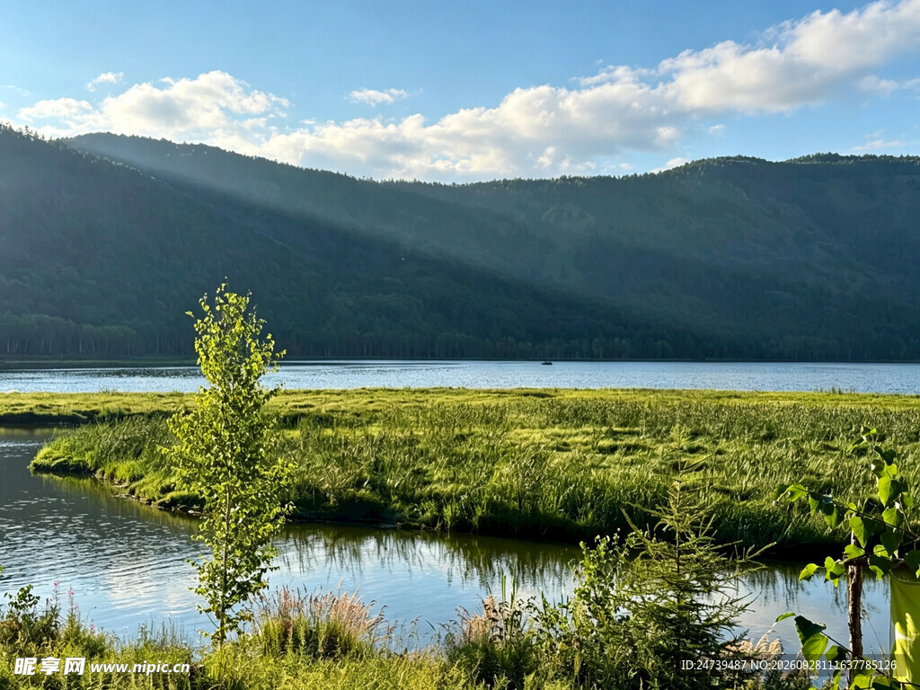 湖畔湿地山野自然风光