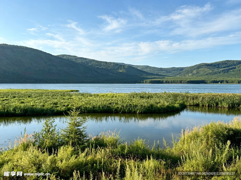 湖畔湿地山野自然风光
