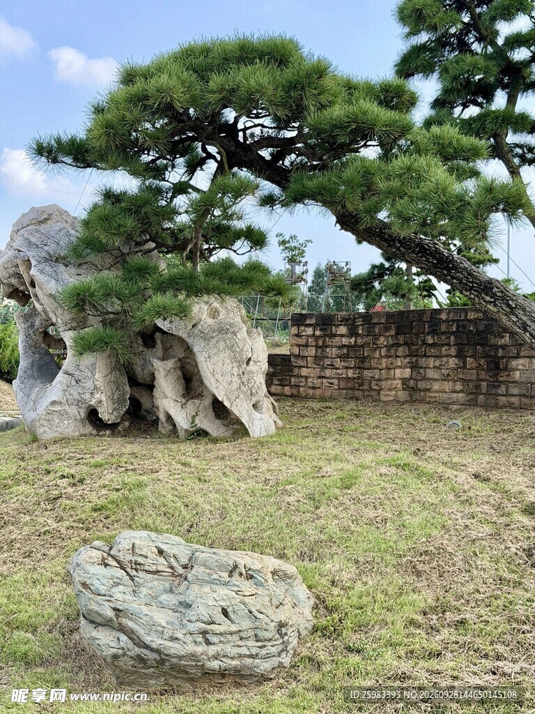地景松树