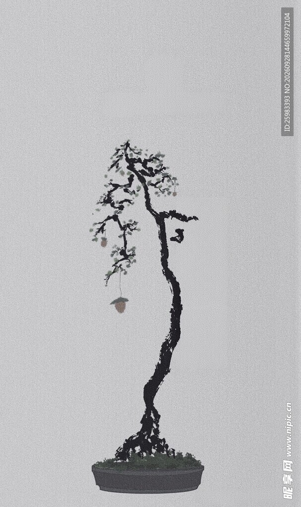 盆景