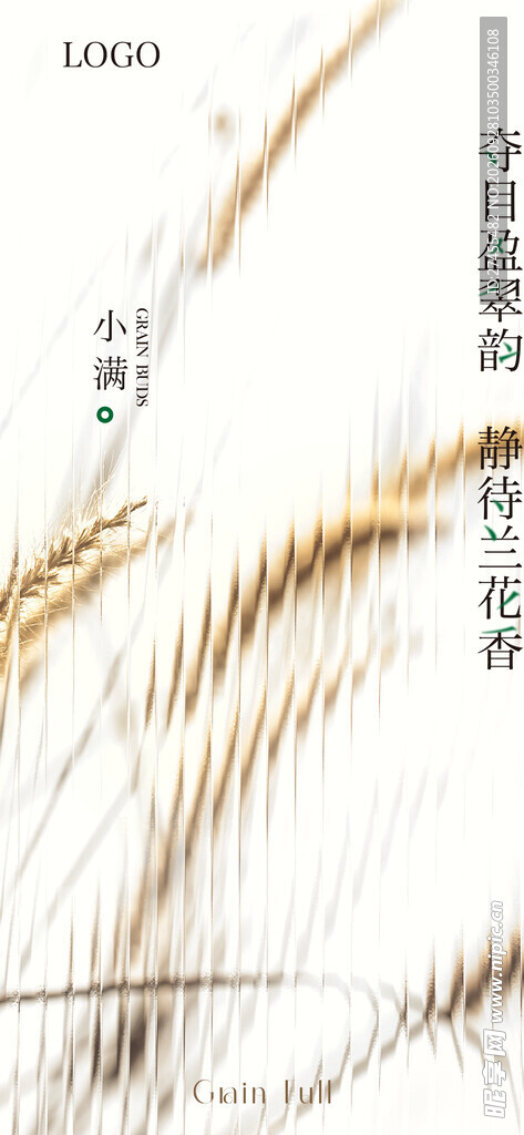 小满节气海报