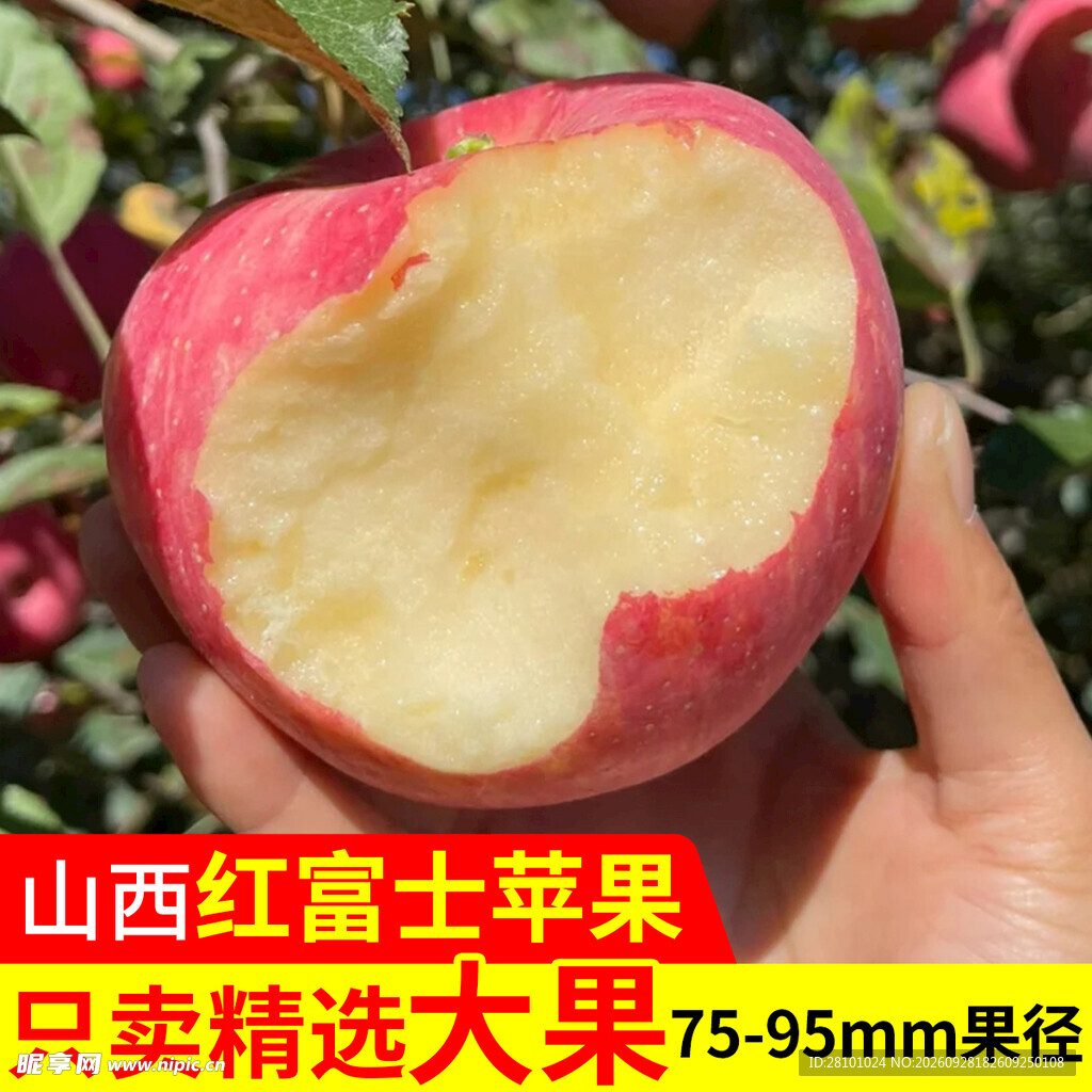 水果主图