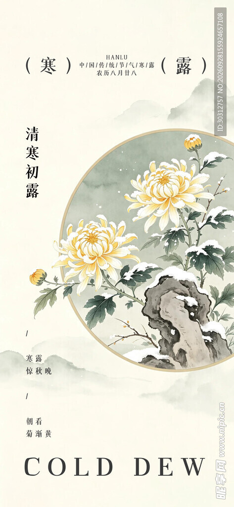 寒露国风菊花主题海报