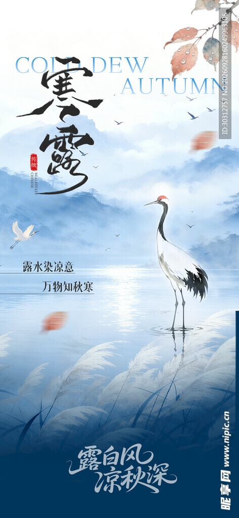 寒露国风节气海报