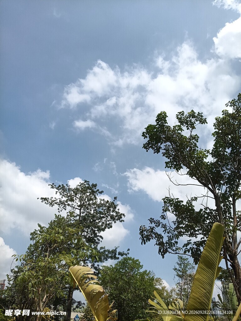 蓝天白云绿树晴日风光