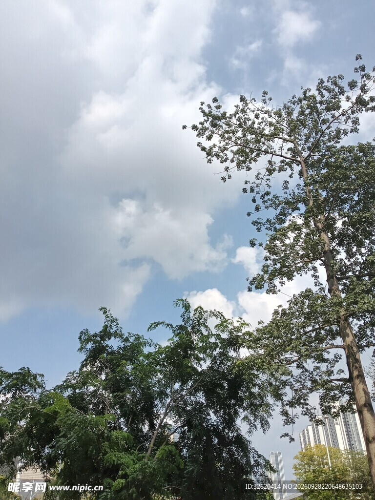蓝天白云绿树自然风景