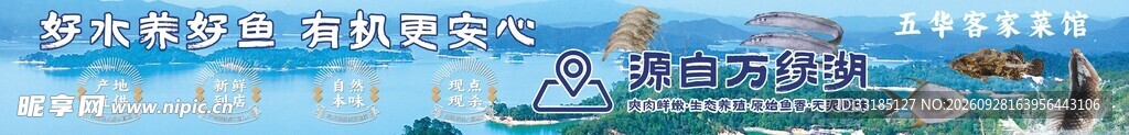 万绿湖鱼