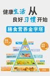 营养膳食金字塔