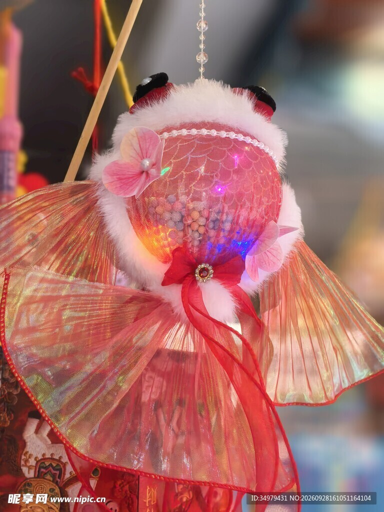 鱼灯笼