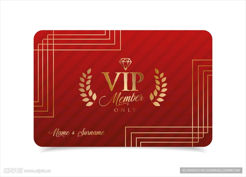VIP 会员卡片