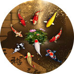 中式九鱼吉祥装饰画