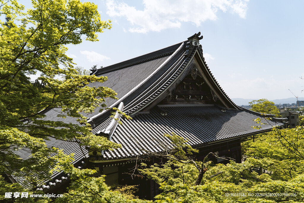 日式古建屋顶风光
