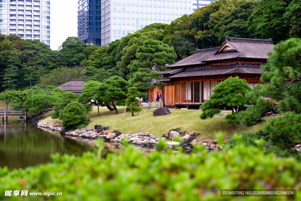 城市中的日式庭院