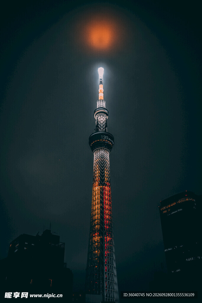 月夜高塔城市夜景