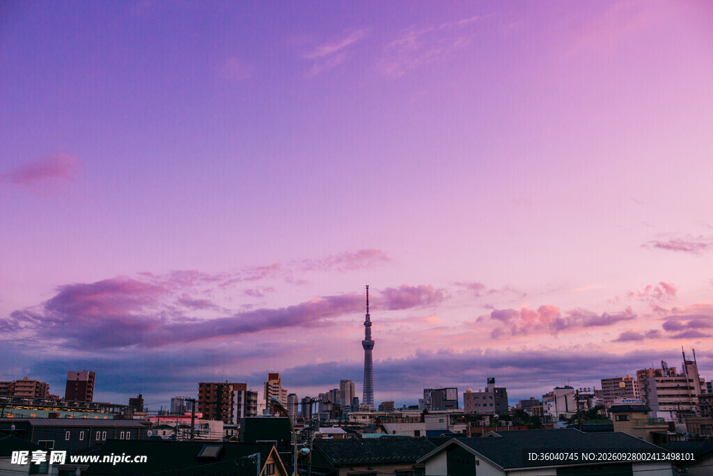 粉紫晚霞中的城市