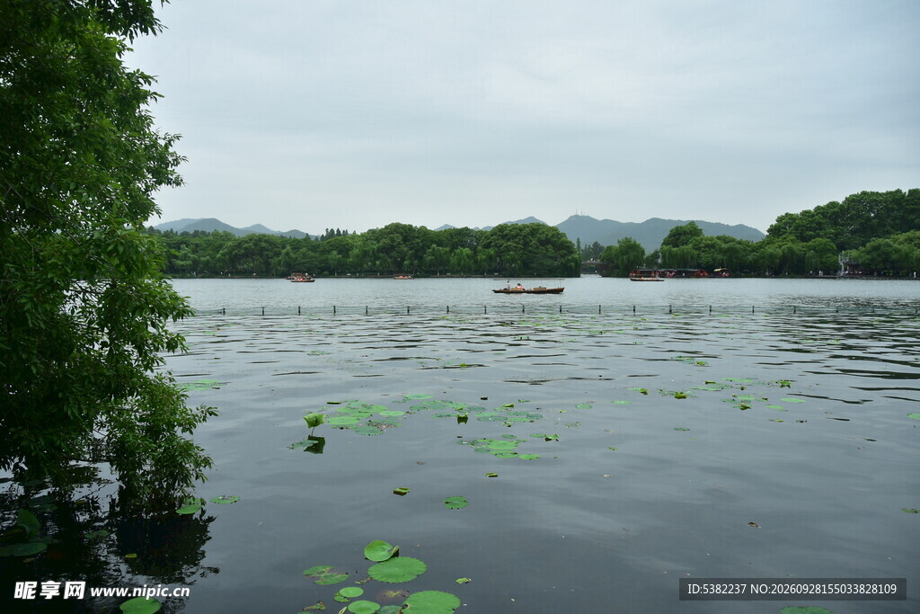 郊野湖泊静谧风光