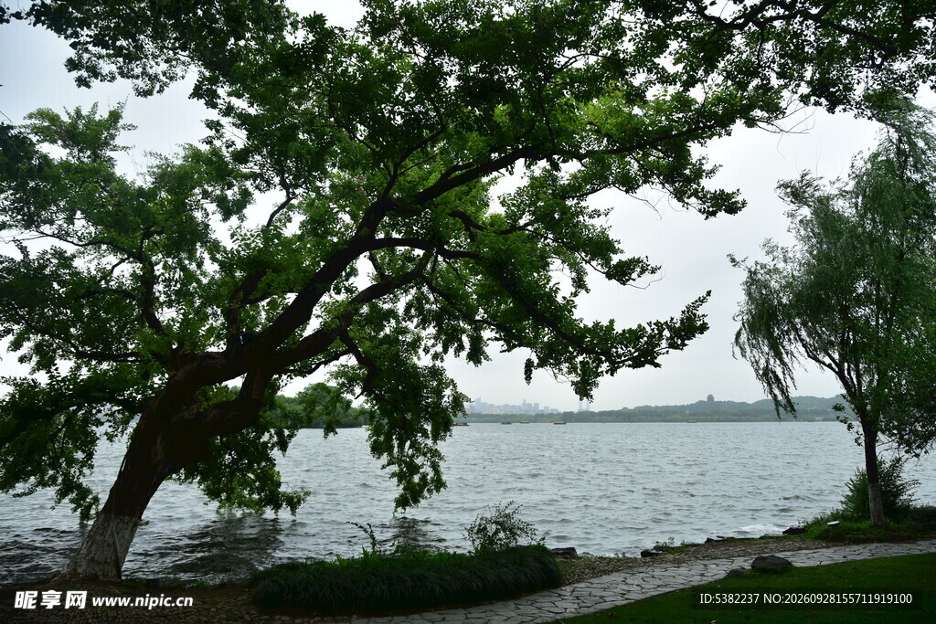 湖畔绿树湖景风光