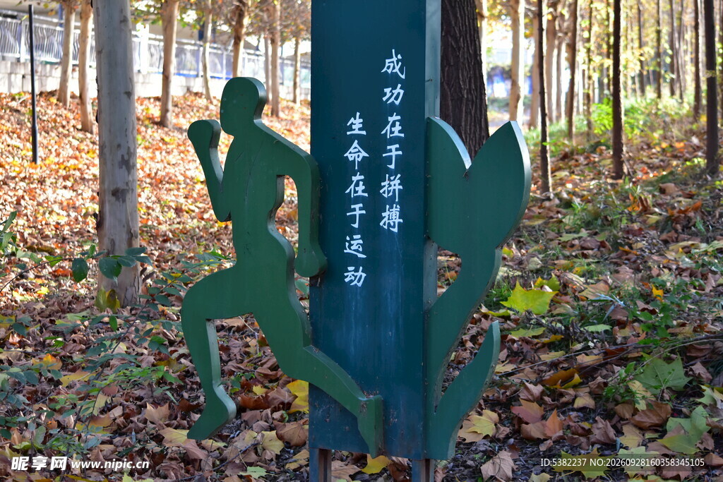 林间健身宣传立牌