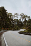公路景观