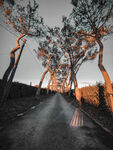 公路