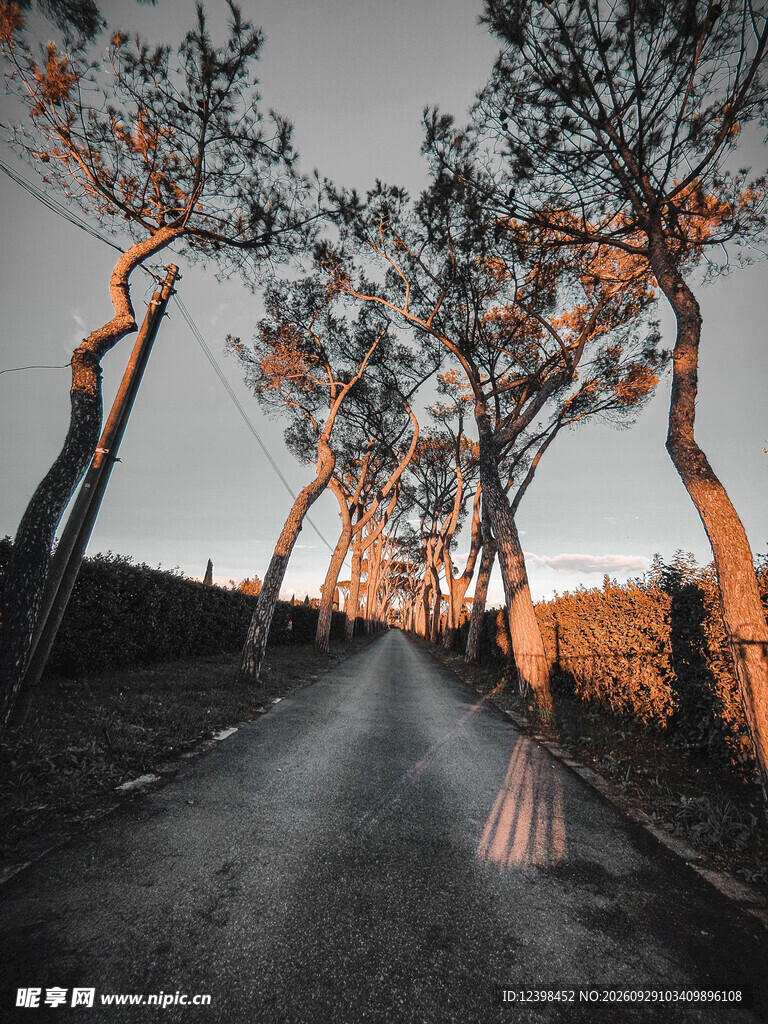 公路