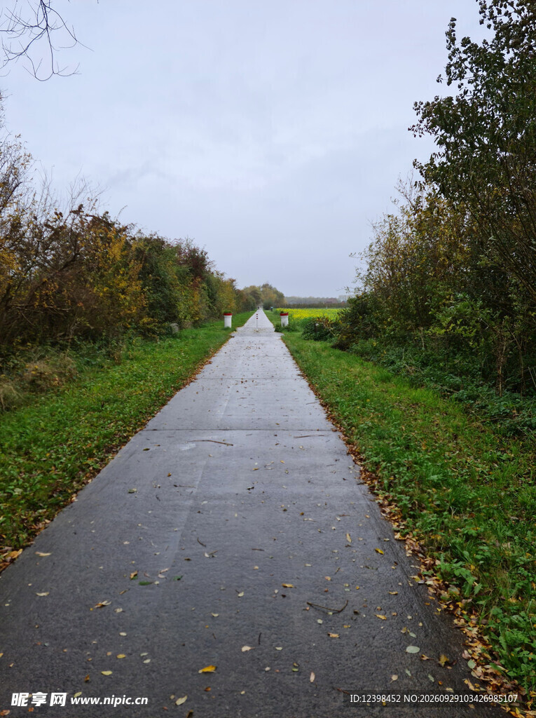 公路景观