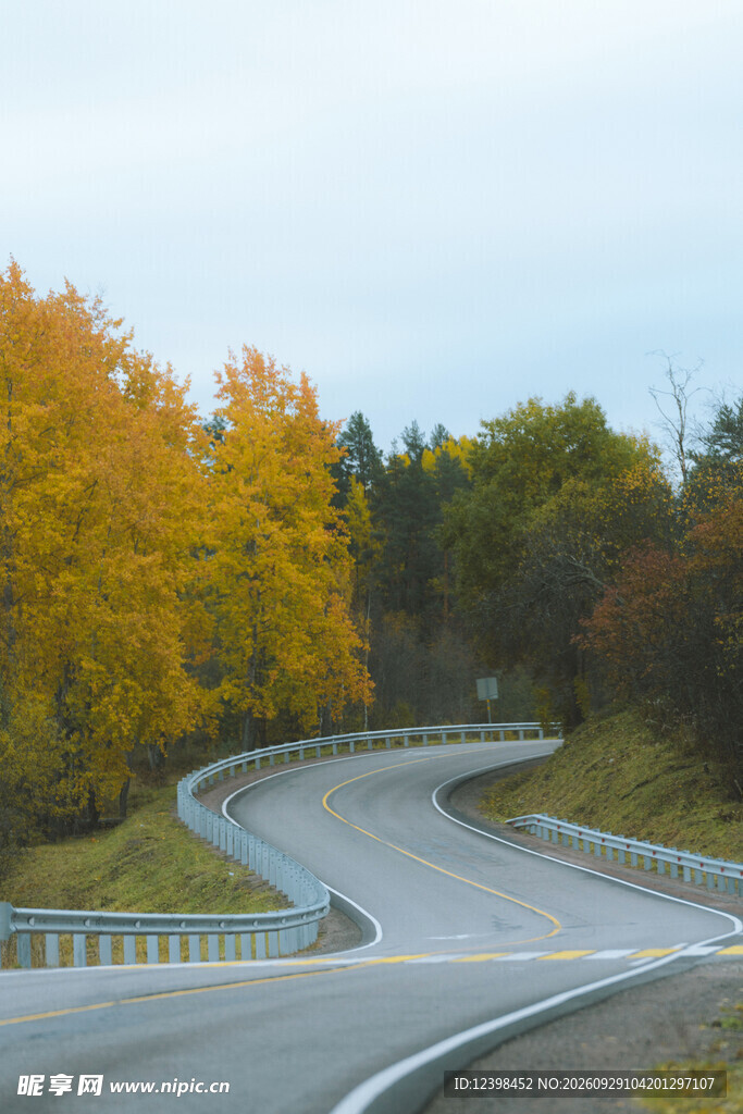 道路