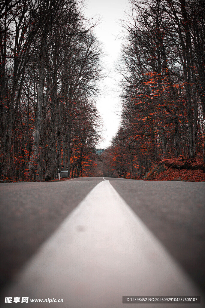 公路景观