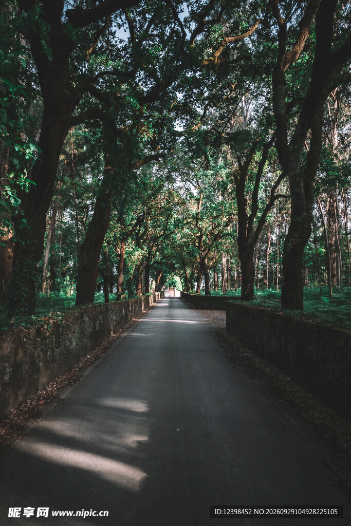 公路景观