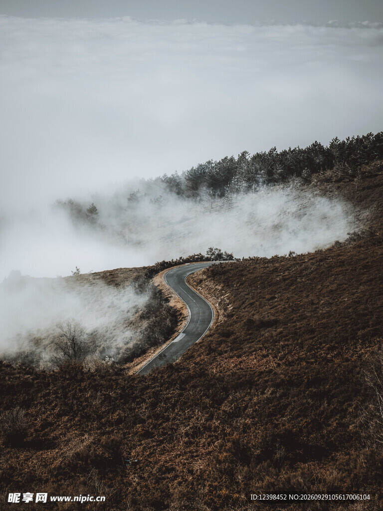 道路