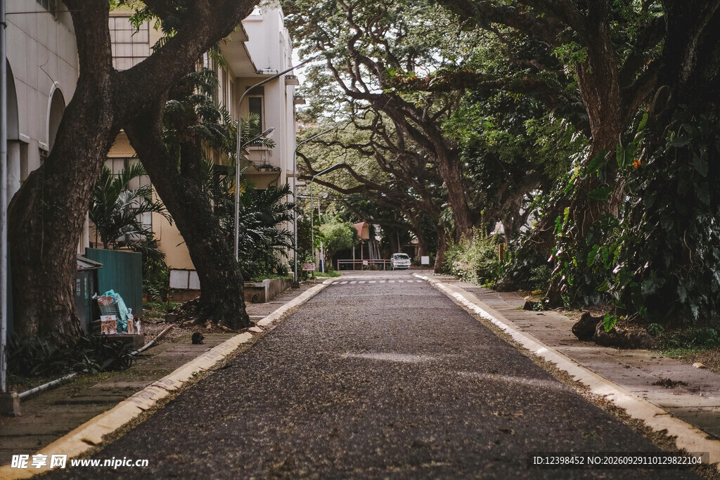 公路景观