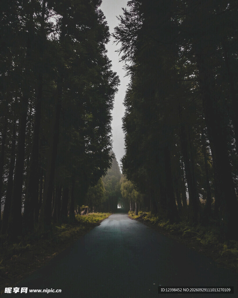 公路