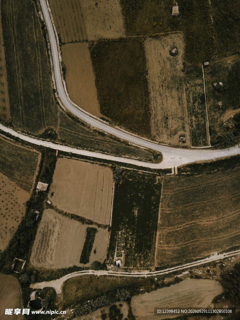 道路