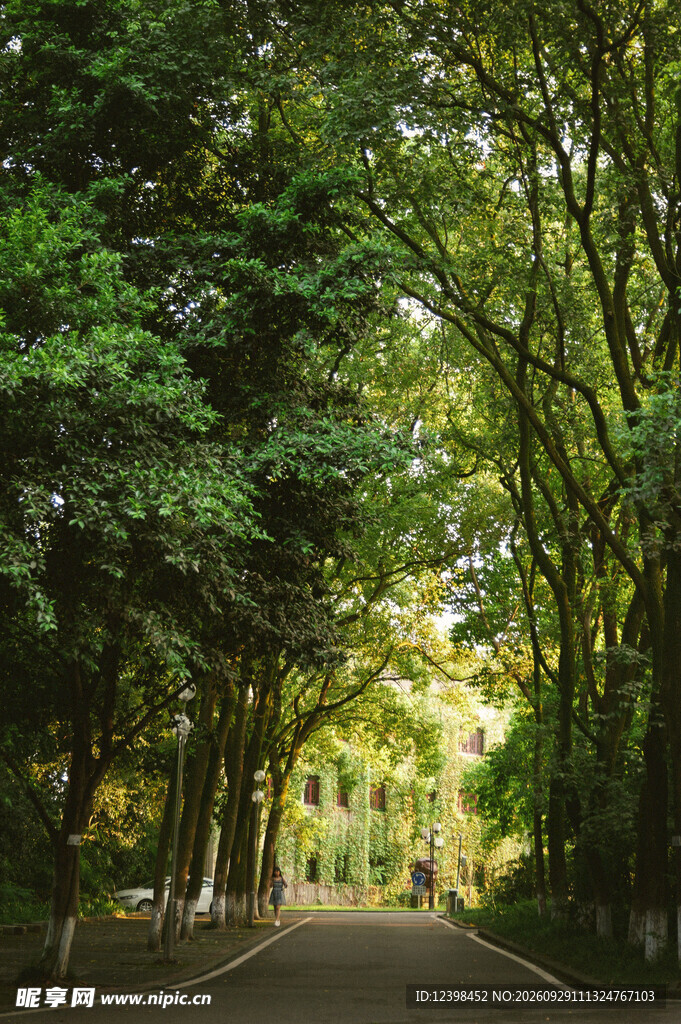 公路景观