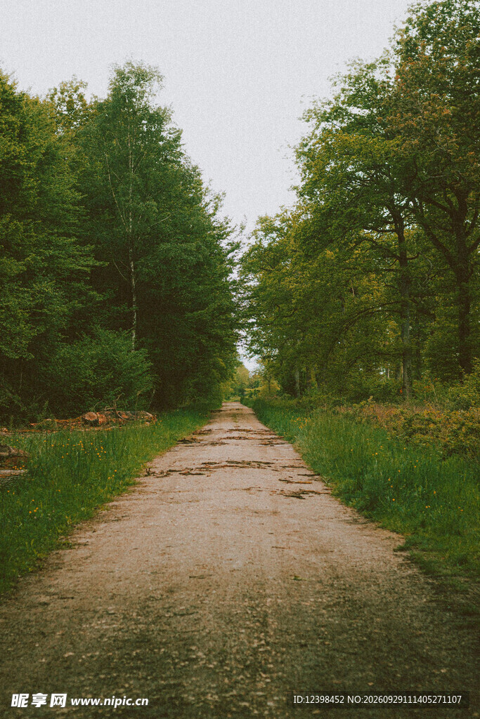 道路