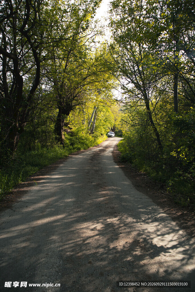 公路景观