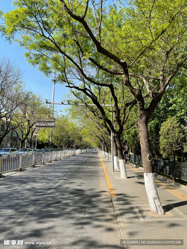 公路景观