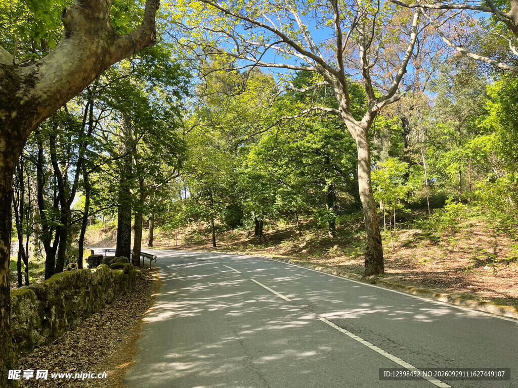 公路景观