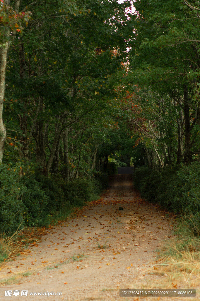 公路景观