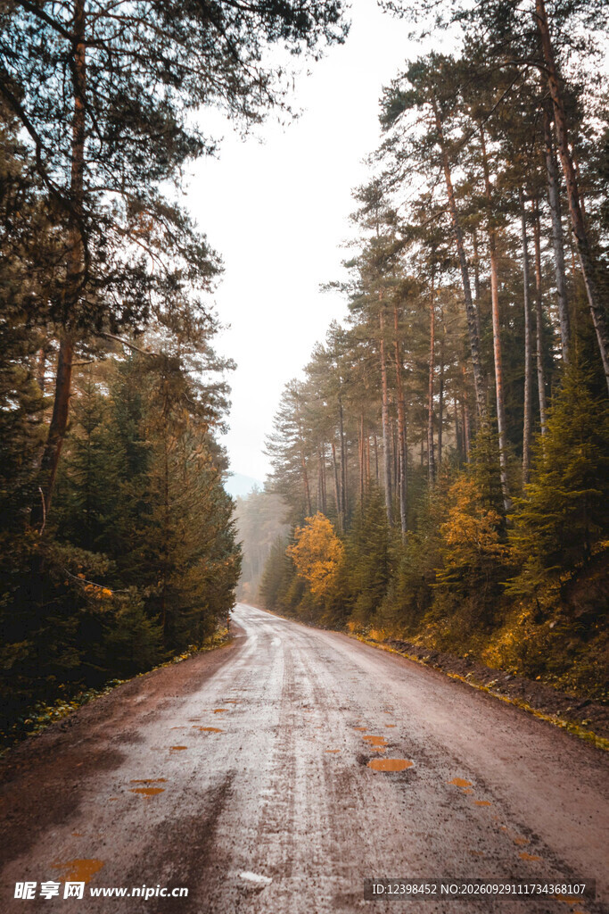 公路景观