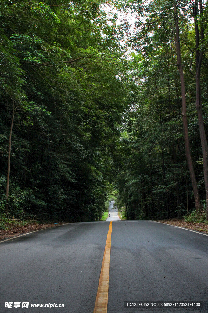 公路景观